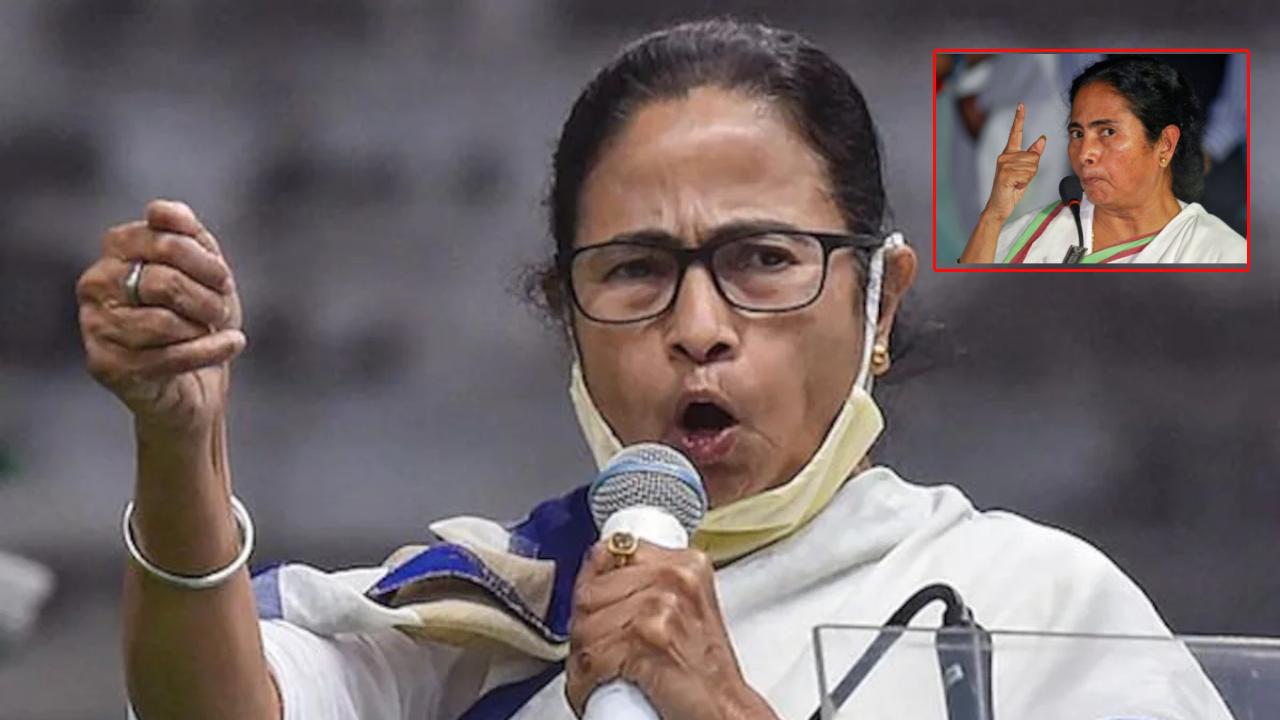 CM Mamata : పశ్చిమబెంగాల్పై కన్నేస్తే..బెంగాల్ టైగర్లున్నాయ్..జాగ్రత్త : బీజేపీకి దీదీ ధమ్కీ CM Mamata : పశ్చిమబెంగాల్పై కన్నేస్తే..బెంగాల్ టైగర్లున్నాయ్..జాగ్రత్త : బీజేపీకి దీదీ ధమ్కీ