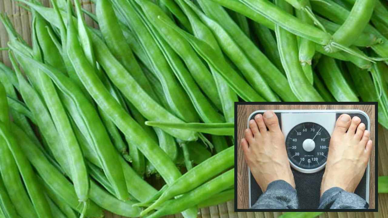 Cluster Beans : బరువు తగ్గించి, మధుమేహులకు మేలు చేసే గోరు చిక్కుడు! Cluster Beans : బరువు తగ్గించి, మధుమేహులకు మేలు చేసే గోరు చిక్కుడు!