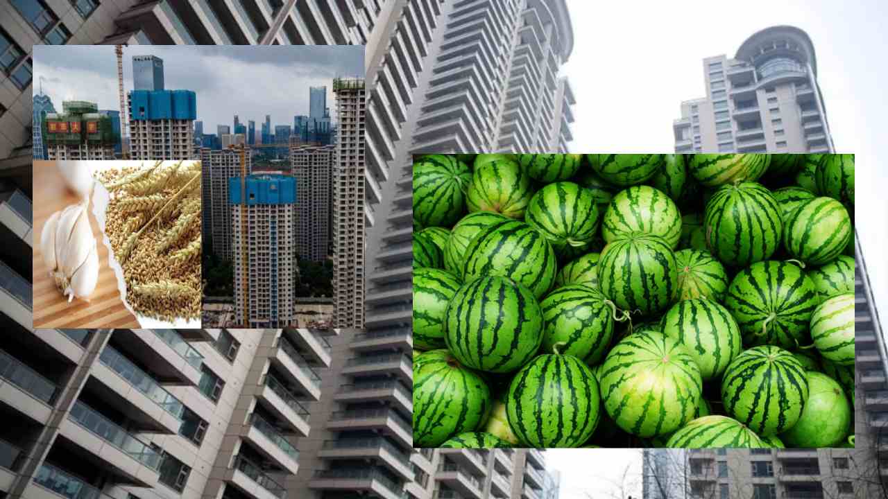 China : చైనాలో పుచ్చకాయలు, గోధుమలకు ఇళ్లు అమ్ముకుంటున్న బిల్డర్లు China : చైనాలో పుచ్చకాయలు, గోధుమలకు ఇళ్లు అమ్ముకుంటున్న బిల్డర్లు
