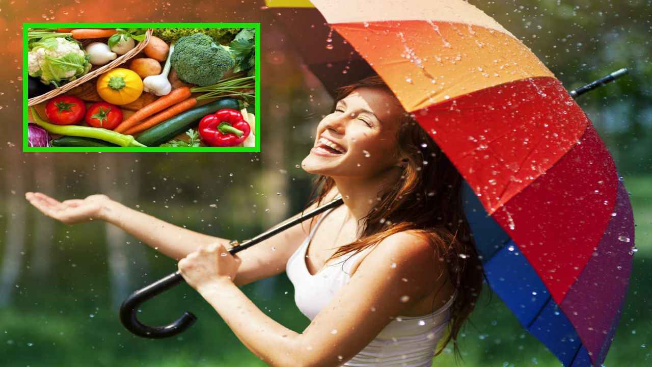 Rainy Season : వర్షకాలంలో ఆరోగ్యసమస్యలు చుట్టుముట్టకుండా! Rainy Season : వర్షకాలంలో ఆరోగ్యసమస్యలు చుట్టుముట్టకుండా!