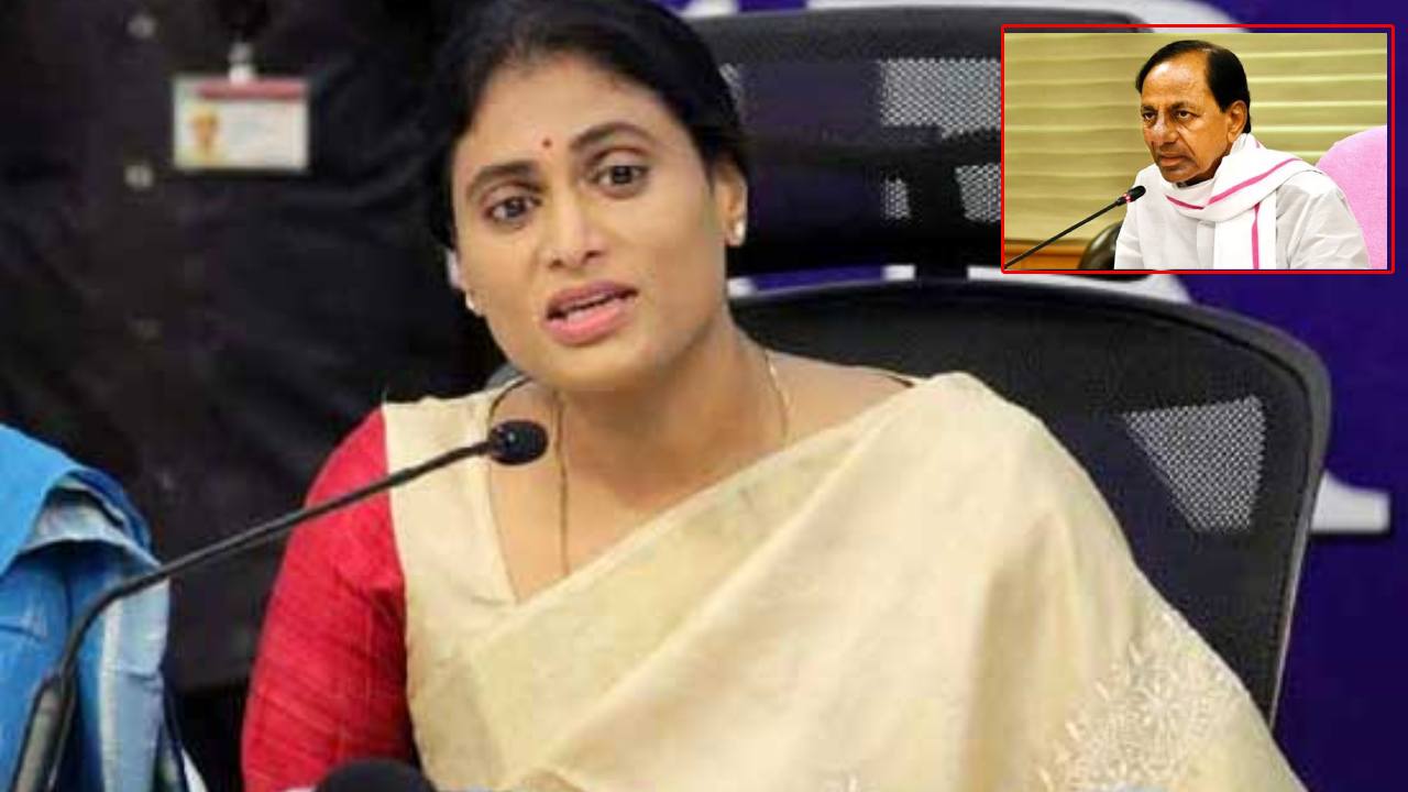 YS Sharmila : కాళేశ్వరం ప్రాజెక్టు వల్ల ఒక్క ఎకరాకు నీళ్లు రాలేదు గానీ..కేసీఆర్ కు కలెక్షన్లు వచ్చాయి : షర్మిల YS Sharmila : కాళేశ్వరం ప్రాజెక్టు వల్ల ఒక్క ఎకరాకు నీళ్లు రాలేదు గానీ..కేసీఆర్ కు కలెక్షన్లు వచ్చాయి : షర్మిల