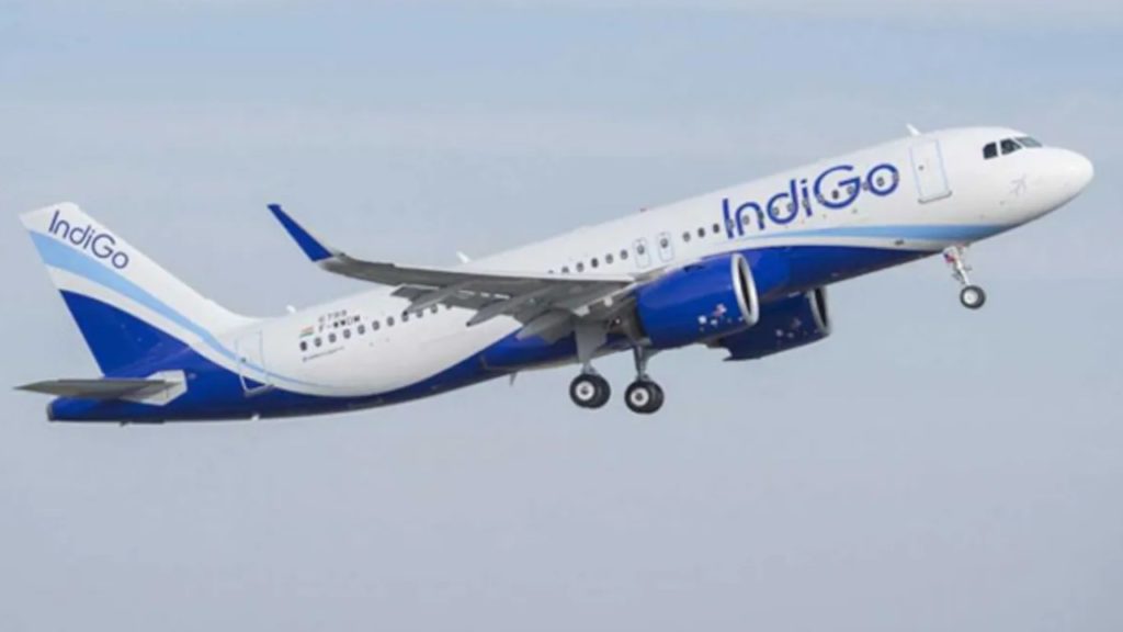 Indigo