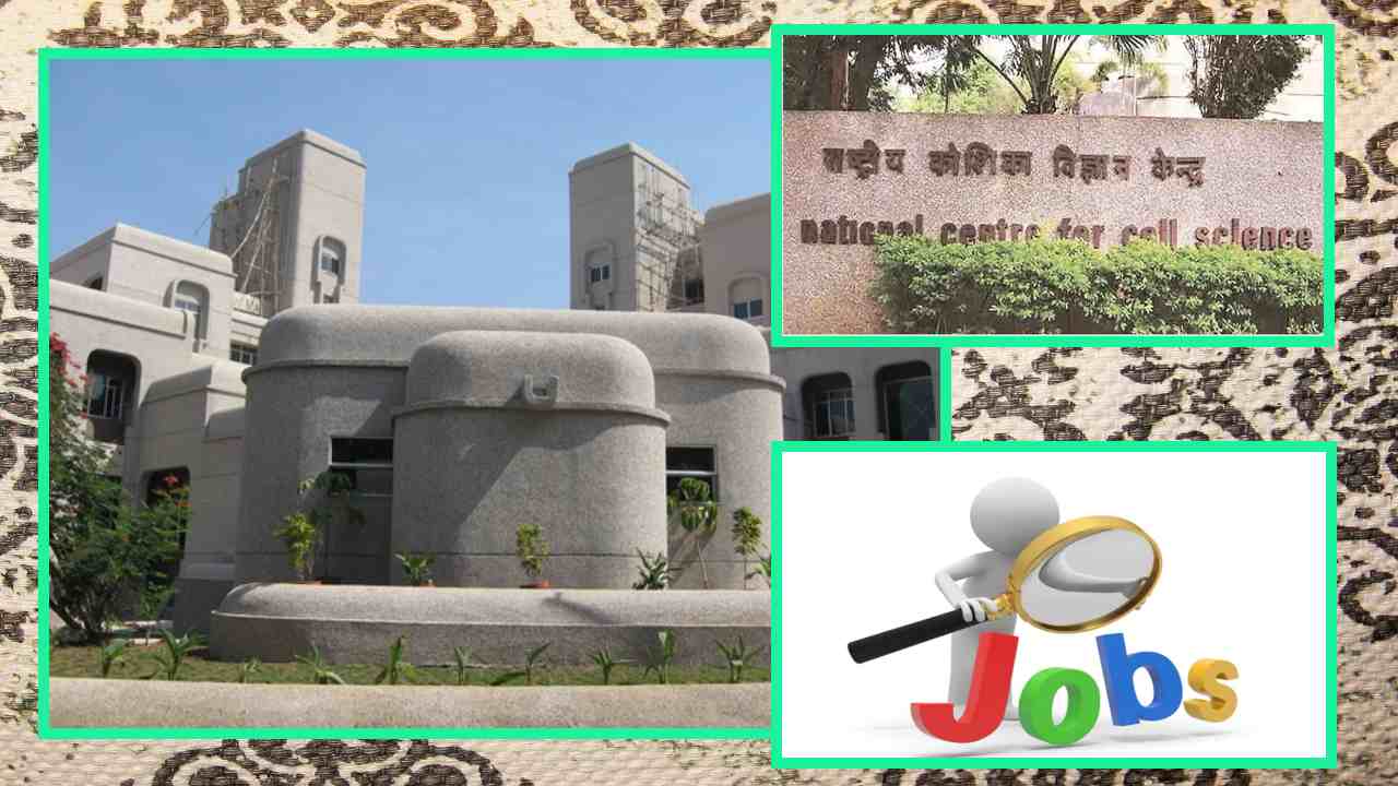 JOBS : ఎన్ సీసీఎస్ లో ఒప్పంద ఉద్యోగ ఖాళీల భర్తీ JOBS : ఎన్ సీసీఎస్ లో ఒప్పంద ఉద్యోగ ఖాళీల భర్తీ