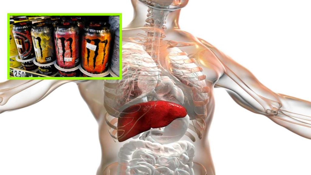Liver