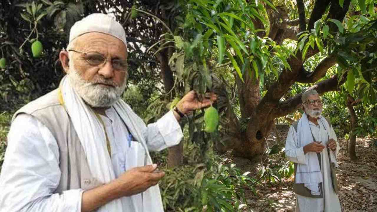 Mango Man: ఇండియాకే మ్యాంగో మ్యాన్.. 120ఏళ్ల చెట్టుకు 300 వెరైటీలు Mango Man: ఇండియాకే మ్యాంగో మ్యాన్.. 120ఏళ్ల చెట్టుకు 300 వెరైటీలు