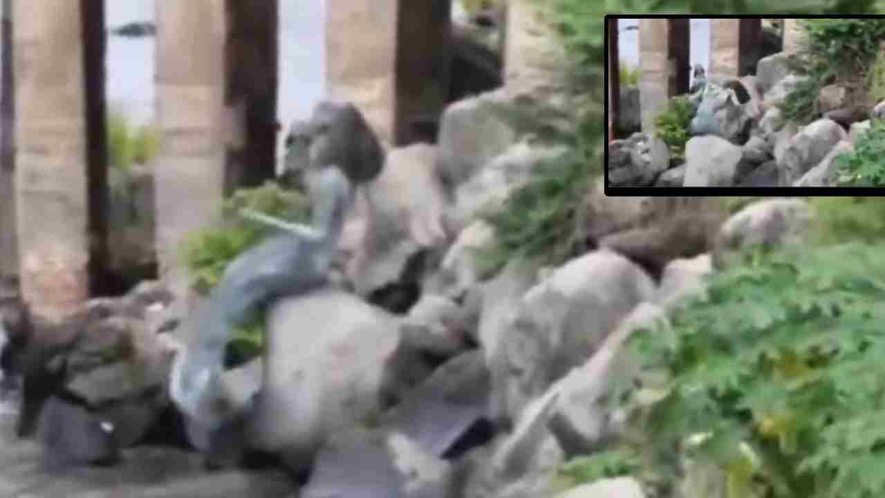 Musi River: మూసీ నదిలో మత్స్యకన్యలా? నెట్టింట్లో చక్కర్లు కొడుతున్న వీడియో.. నెటిజన్లు ఏమన్నారంటే.. Musi River: మూసీ నదిలో మత్స్యకన్యలా? నెట్టింట్లో చక్కర్లు కొడుతున్న వీడియో.. నెటిజన్లు ఏమన్నారంటే..