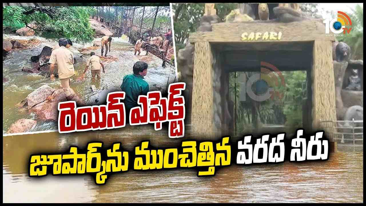 రెయిన్ ఎఫెక్ట్‌ : జూ‌పార్క్‌ను ముంచెత్తిన వరద నీరు