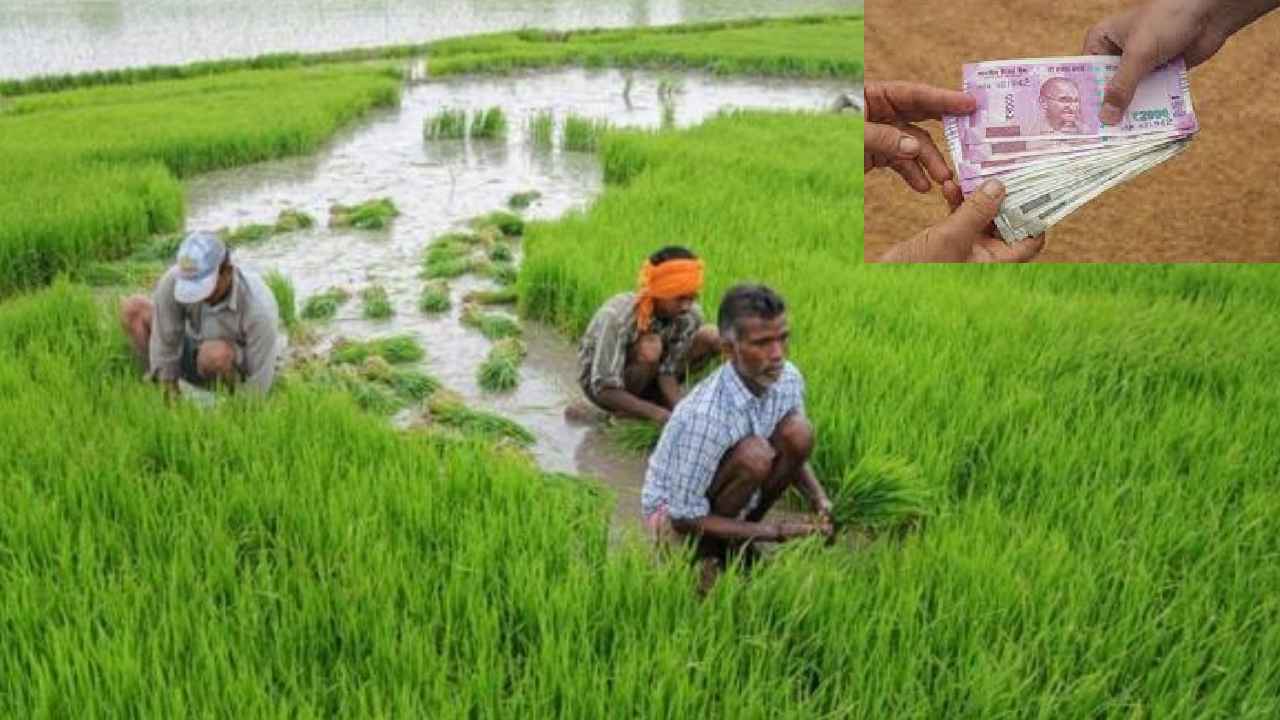 PM Kisan Yojana Alert : రైతులకు అలర్ట్.. వెంటనే ఇలా చేయకపోతే డబ్బులు పడవు PM Kisan Yojana Alert : రైతులకు అలర్ట్.. వెంటనే ఇలా చేయకపోతే డబ్బులు పడవు