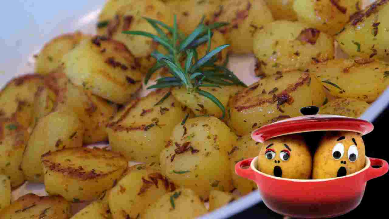 Potatoes : రక్తంలో కొలొస్ట్రాల్ స్ధాయిలను తగ్గించే బంగాళ దుంప! Potatoes : రక్తంలో కొలొస్ట్రాల్ స్ధాయిలను తగ్గించే బంగాళ దుంప!