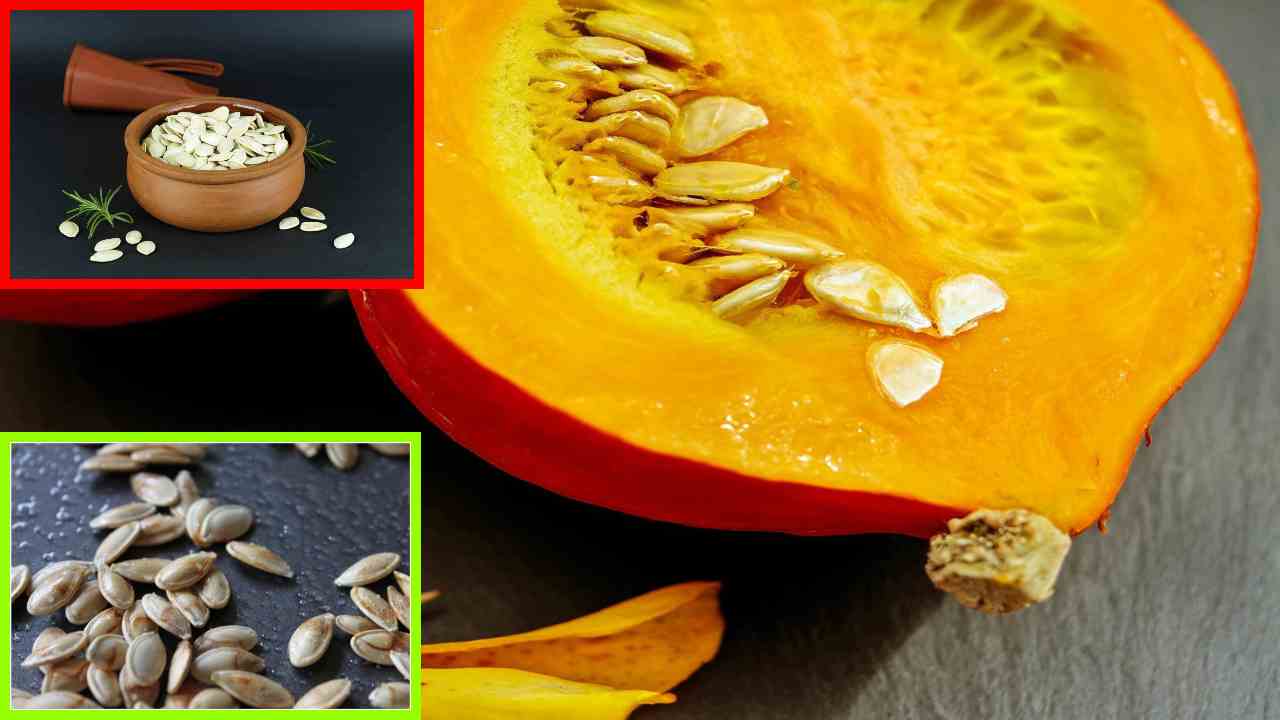 Pumpkin Seeds : చర్మానికి మేలు చేసే గుమ్మడి గింజలు Pumpkin Seeds : చర్మానికి మేలు చేసే గుమ్మడి గింజలు