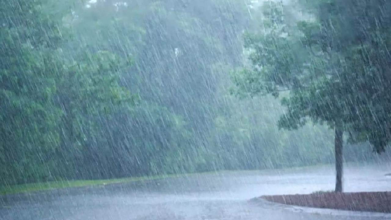 rainfall: రెండు నెలలు సాధారణ వర్షపాతం: ఐఎండీ rainfall: రెండు నెలలు సాధారణ వర్షపాతం: ఐఎండీ