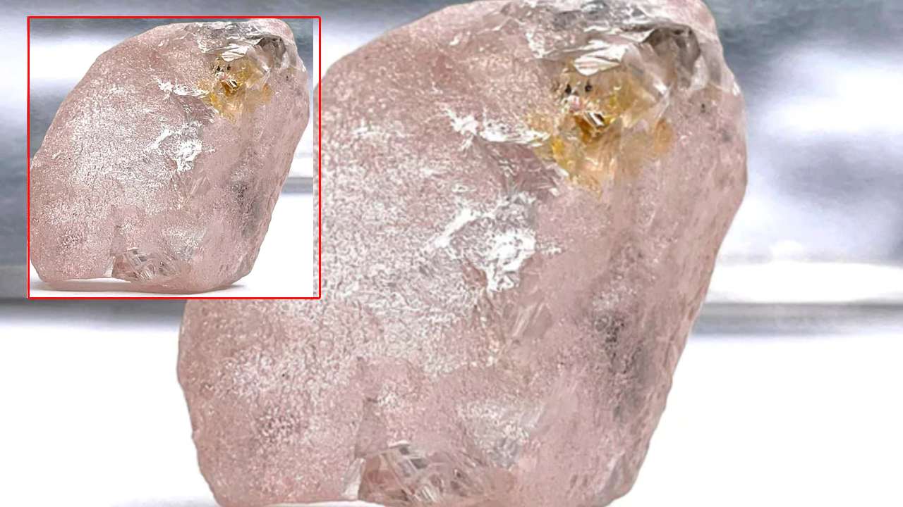 Rare Pink Diamond : అంగోలాలో లభ్యమైన ప్రపంచంలోనే అరుదైన పెద్ద పింక్ డైమండ్..విలువ రూ.900ల కోట్లకు పైనే Rare Pink Diamond : అంగోలాలో లభ్యమైన ప్రపంచంలోనే అరుదైన పెద్ద పింక్ డైమండ్..విలువ రూ.900ల కోట్లకు పైనే