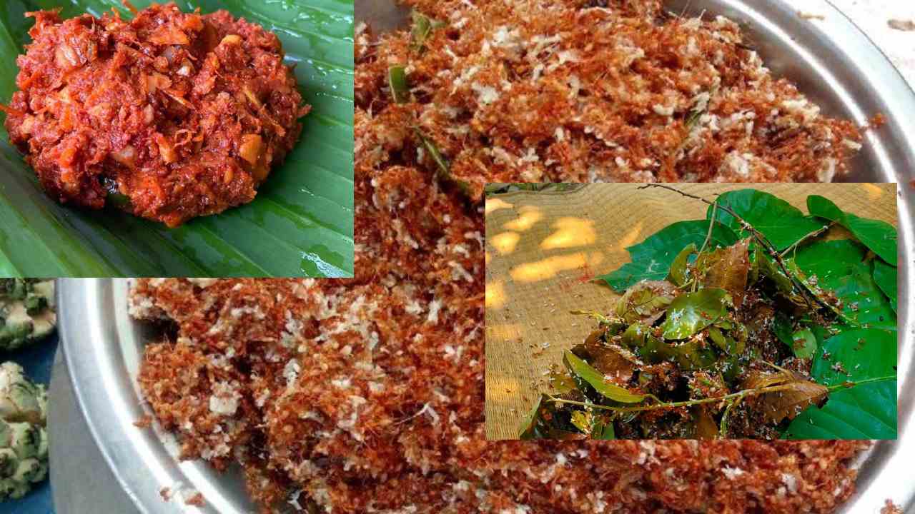 Red ANnt Chutney : ఎర్ర చీమల చట్నీకి యమా డిమాండ్..! జీఐ ట్యాగ్ కోసం యత్నాలు.. Red ANnt Chutney : ఎర్ర చీమల చట్నీకి యమా డిమాండ్..! జీఐ ట్యాగ్ కోసం యత్నాలు..