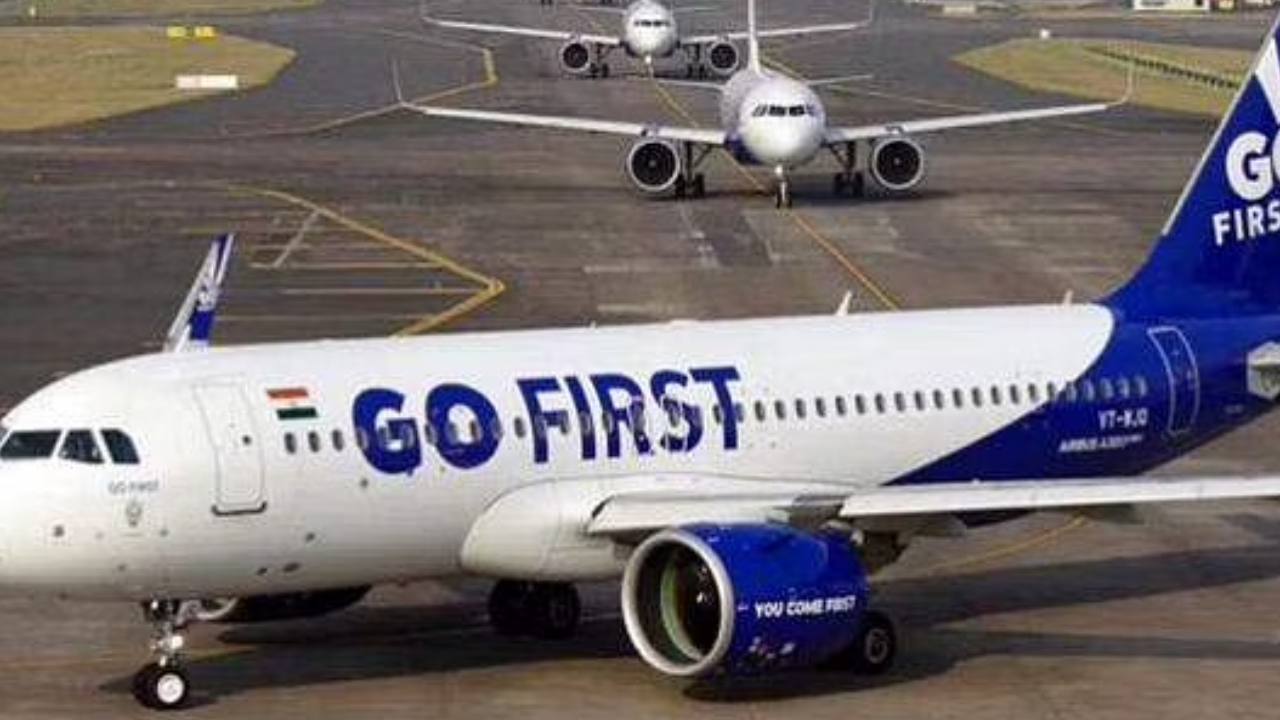 Stray Dog On Runway Delays Go First's Leh Delhi Flight (2)