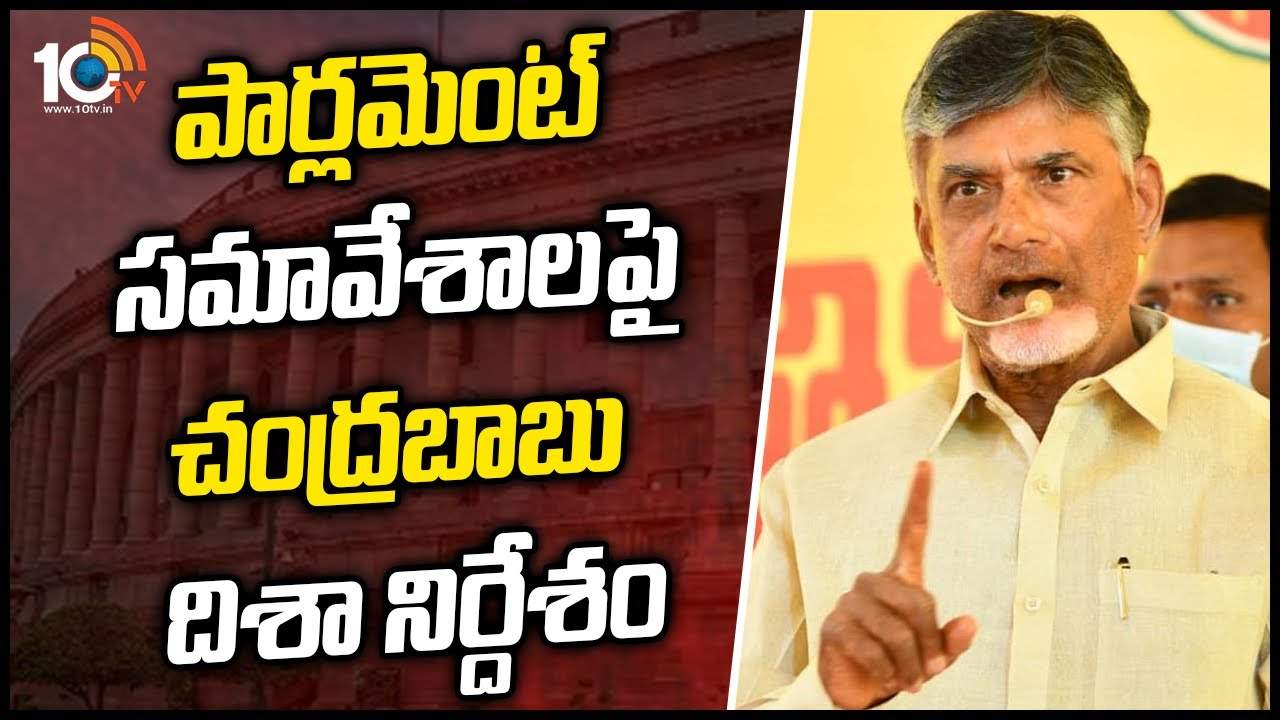 పార్లమెంట్ సమావేశాలపై చంద్రబాబు దిశా నిర్దేశం