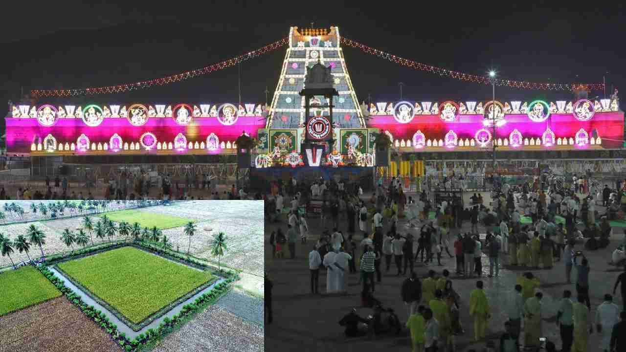 TTD EO DharmaReddy : ప్రకృతి వ్యవసాయ రైతుల నుండి 12 రకాల ఉత్పత్తుల సేకరణ-టీటీడీ ఈవో TTD EO DharmaReddy : ప్రకృతి వ్యవసాయ రైతుల నుండి 12 రకాల ఉత్పత్తుల సేకరణ-టీటీడీ ఈవో