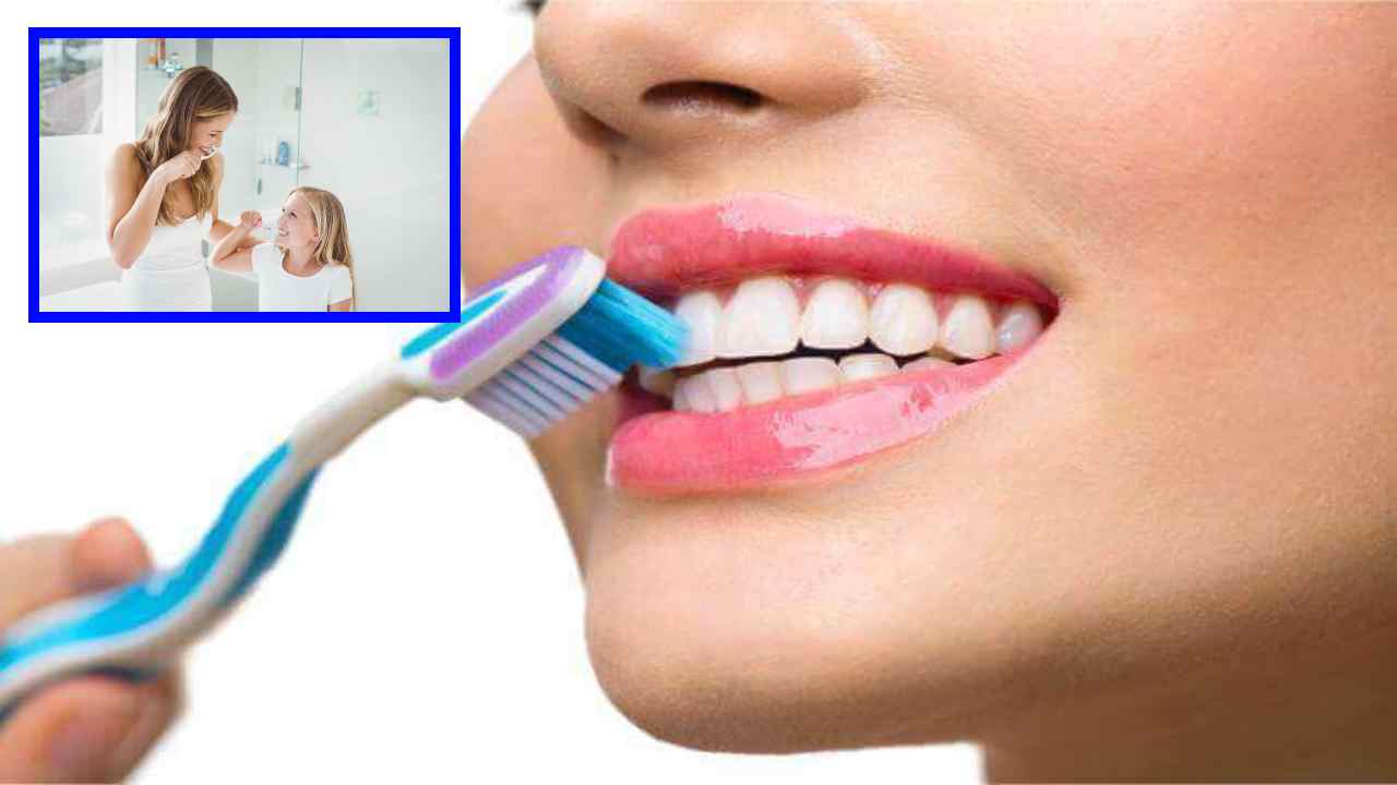 Teeth Brushing : సంపూర్ణ ఆరోగ్యానికి రోజుకు ఎన్నిసార్లు బ్రష్ చేయాలంటే! Teeth Brushing : సంపూర్ణ ఆరోగ్యానికి రోజుకు ఎన్నిసార్లు బ్రష్ చేయాలంటే!