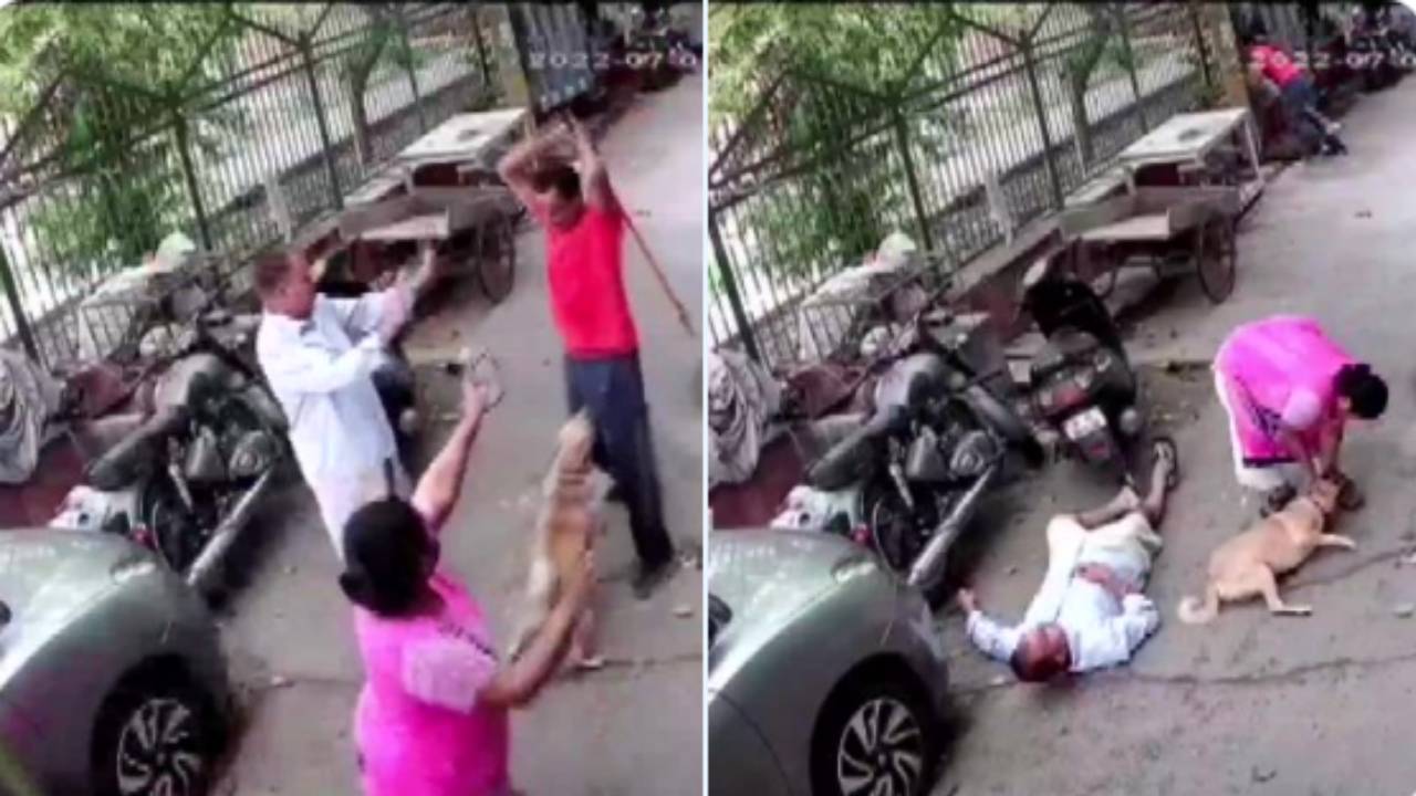 Delhi : కుక్క మొరుగుతోందని ఐరన్ రాడ్ తో దాడి..ముగ్గురికి గాయాలు Delhi : కుక్క మొరుగుతోందని ఐరన్ రాడ్ తో దాడి..ముగ్గురికి గాయాలు