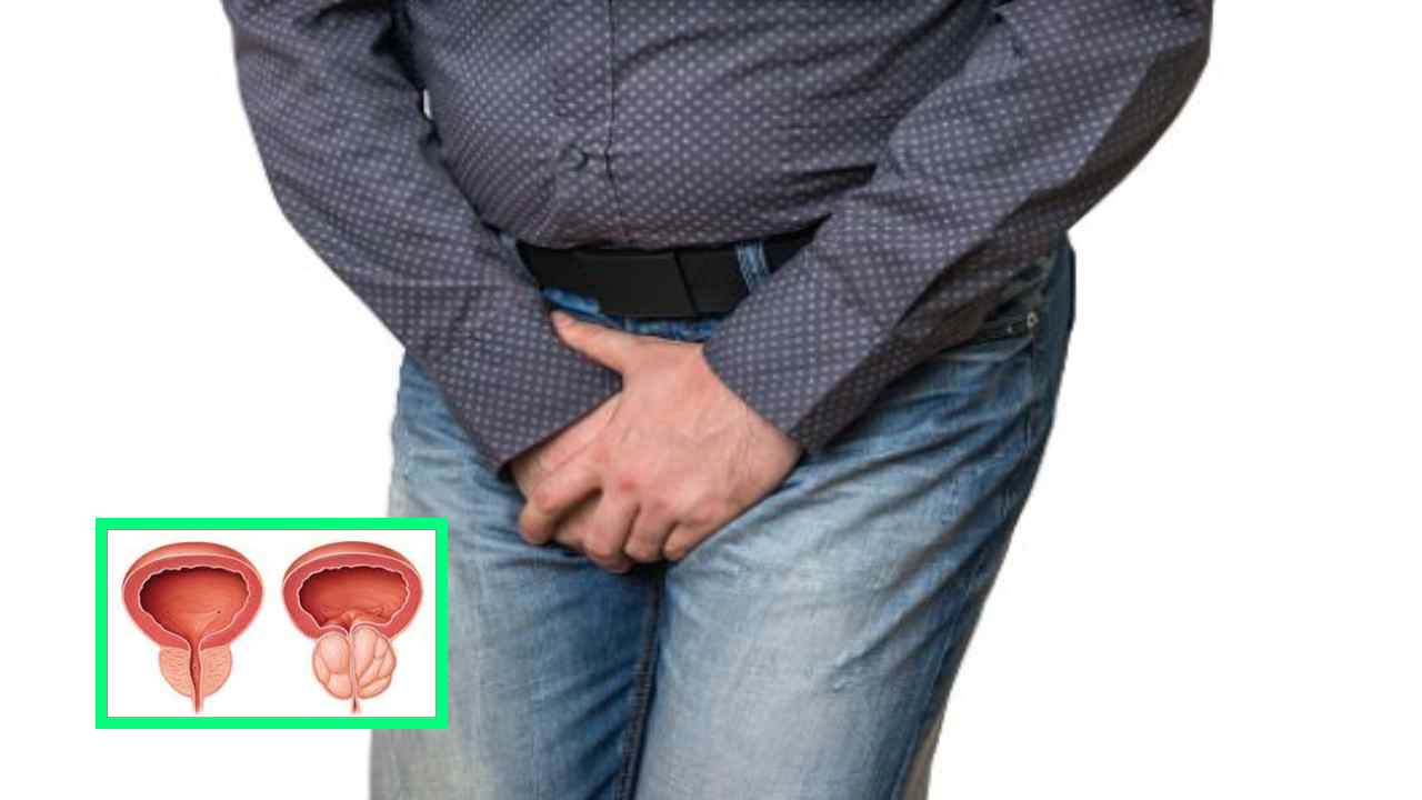 Urinary Delay : మూత్ర విసర్జనలో జాప్యమా! అయితే జాగ్రత్త Urinary Delay : మూత్ర విసర్జనలో జాప్యమా! అయితే జాగ్రత్త