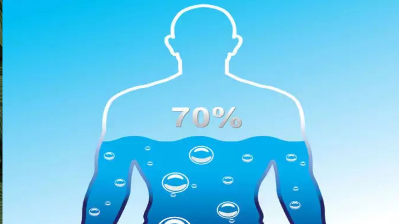 Why You Should Never Drink Water Standing Up, You Must Know These Facts (14)