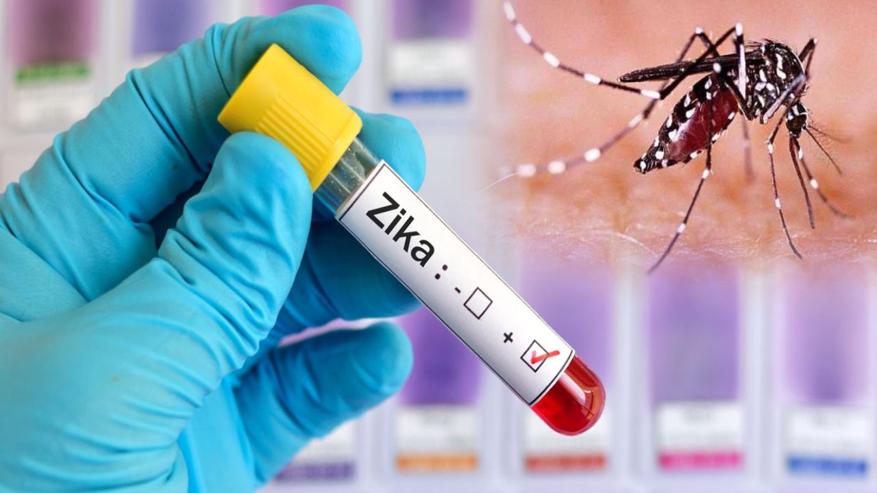 Zika Virus : తెలంగాణలో జికా వైరస్ టెన్షన్.. అసలే వర్షాకాలం జర భద్రం! Zika Virus : తెలంగాణలో జికా వైరస్ టెన్షన్.. అసలే వర్షాకాలం జర భద్రం!