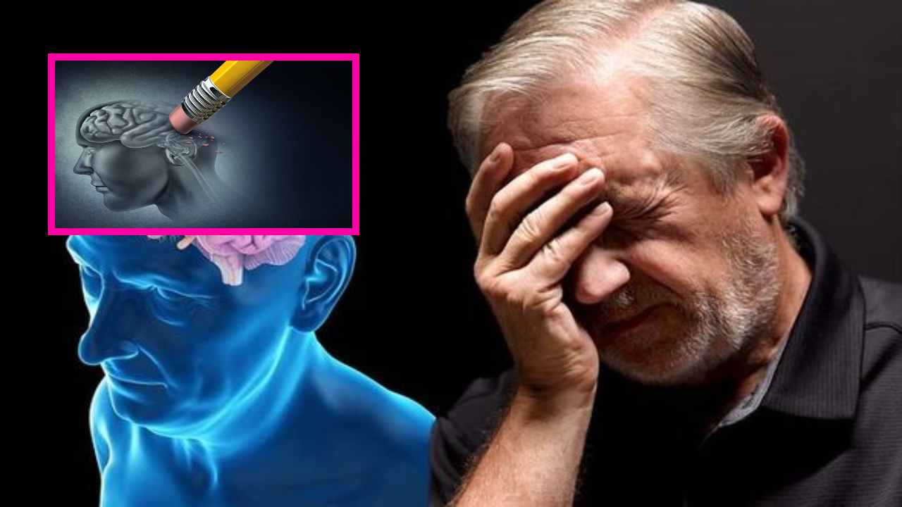 Alzheimers : ఈ జాగ్రత్తలు పాటిస్తే అల్జీమర్స్ నివారణ సాధ్యమే! Alzheimers : ఈ జాగ్రత్తలు పాటిస్తే అల్జీమర్స్ నివారణ సాధ్యమే!