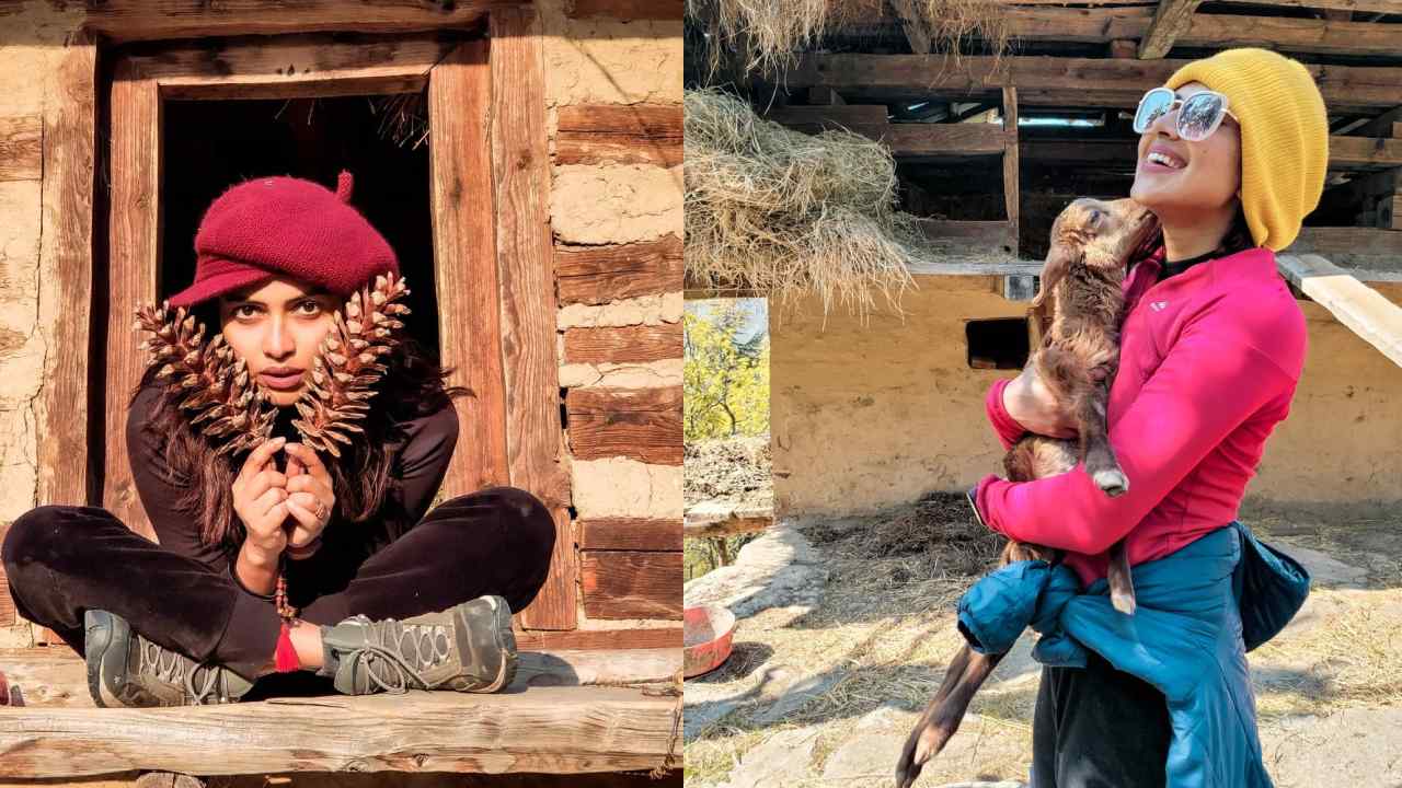 Amala Paul : గొర్రెలతో ఆడుకుంటున్న అమలాపాల్