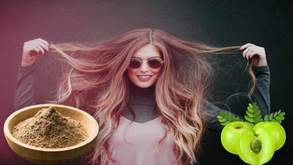 Amla Powder