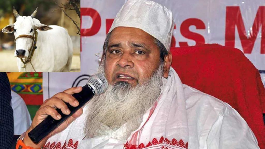Assam Mp Badruddin Ajmal Calls No Cow Slaughter