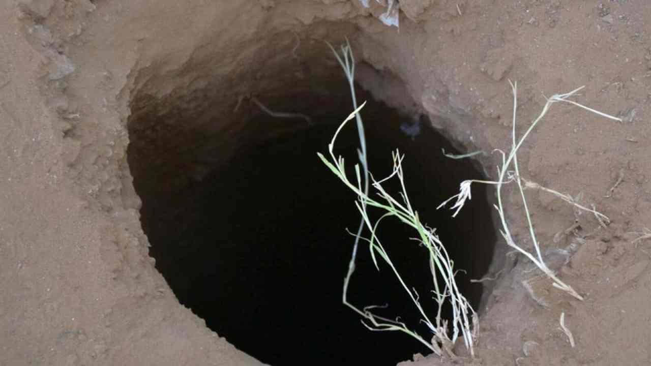 borewell: బోరుబావిలో పడి 60 అడుగుల లోతులో ఇరుక్కుపోయిన బాలిక.. 5 గంటల్లో బయటకు తీసిన జవాన్లు borewell: బోరుబావిలో పడి 60 అడుగుల లోతులో ఇరుక్కుపోయిన బాలిక.. 5 గంటల్లో బయటకు తీసిన జవాన్లు