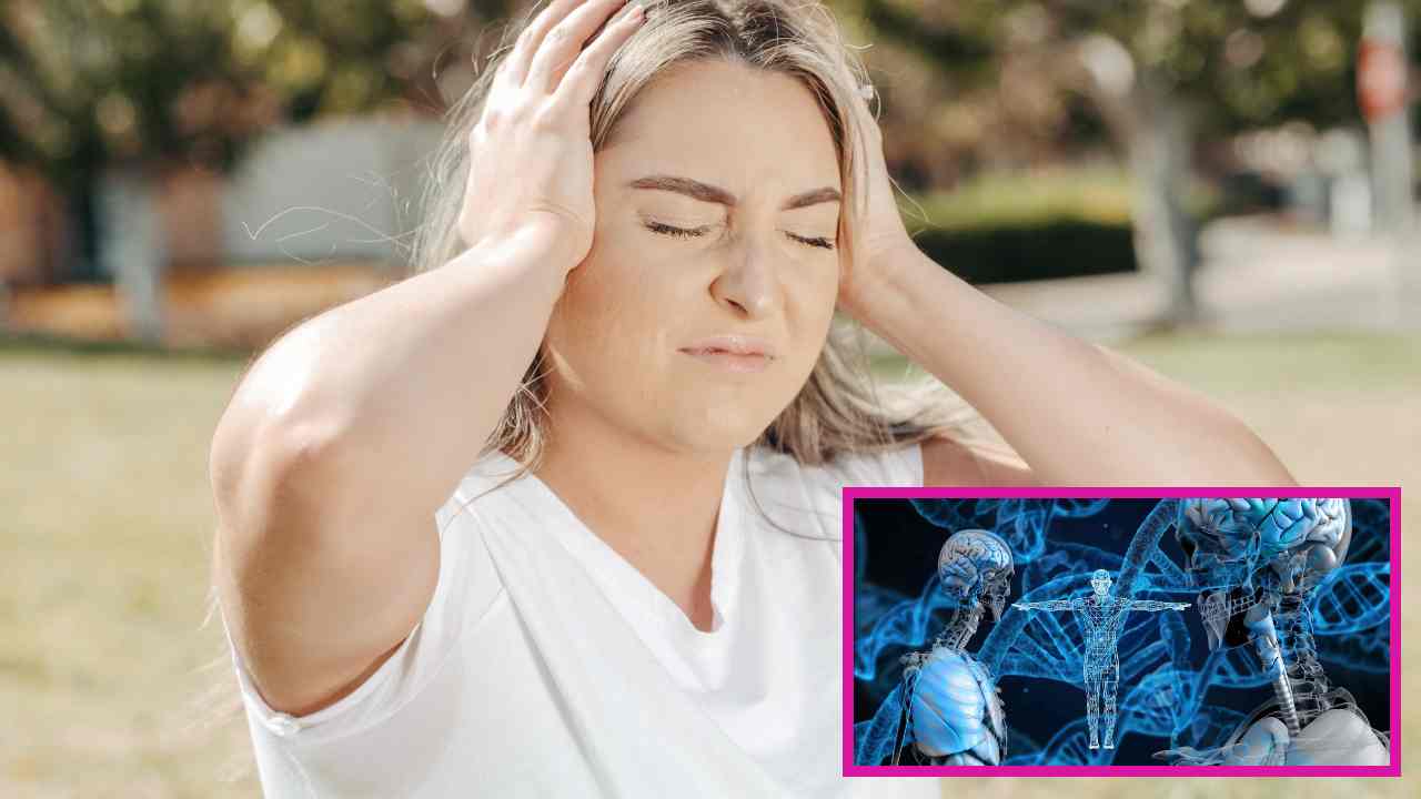 Brain Health : మెదడు ఆరోగ్యానికి జాగ్రత్తలు Brain Health : మెదడు ఆరోగ్యానికి జాగ్రత్తలు