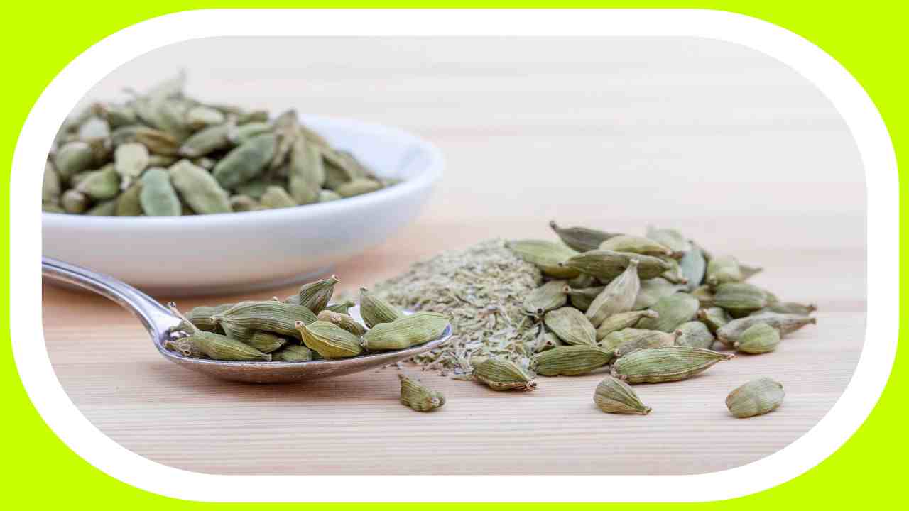 Cardamom : నోటి ఇన్ ఫెక్షన్లతోపాటు, దుర్వాసన పోగొట్టే యాలకులు! Cardamom : నోటి ఇన్ ఫెక్షన్లతోపాటు, దుర్వాసన పోగొట్టే యాలకులు!