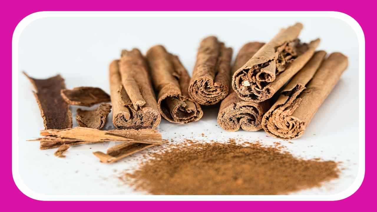 Cinnamon : బరువు తగ్గించటమేకాదు, రక్తప్రసరణ వ్యవస్ధను మెరుగుపరిచే దాల్చిన చెక్క! Cinnamon : బరువు తగ్గించటమేకాదు, రక్తప్రసరణ వ్యవస్ధను మెరుగుపరిచే దాల్చిన చెక్క!