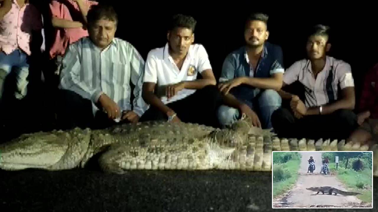 Crocodiles: వామ్మో.. ఇళ్లలోకి వచ్చిన 250కిపైగా మొసళ్లు.. భయంతో వణికిపోయిన ప్రజలు.. ఎక్కడంటే? Crocodiles: వామ్మో.. ఇళ్లలోకి వచ్చిన 250కిపైగా మొసళ్లు.. భయంతో వణికిపోయిన ప్రజలు.. ఎక్కడంటే?