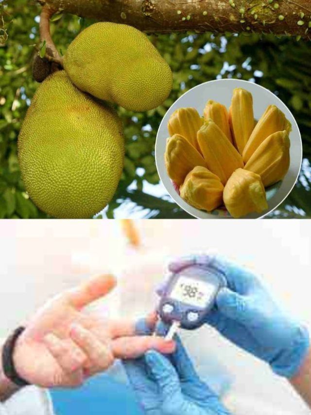>పనస పండుతో ఎన్ని లాభాలో..