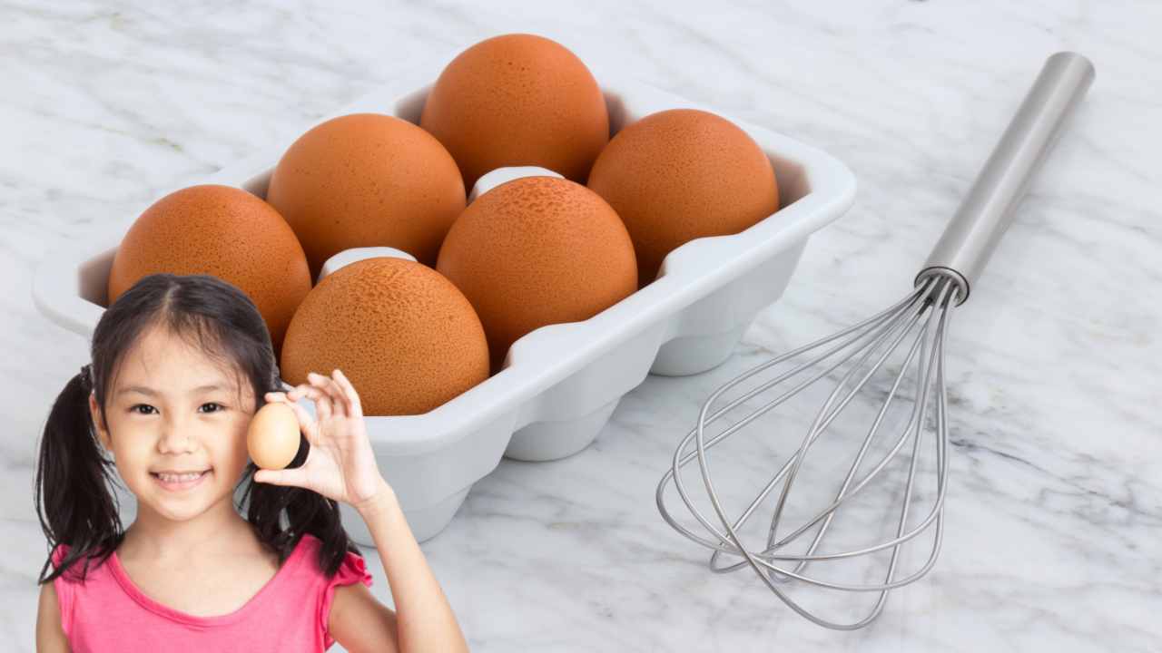 EGGS : పాలలోనే కాదు..గుడ్డులోను పోషకాలు అధికమే! EGGS : పాలలోనే కాదు..గుడ్డులోను పోషకాలు అధికమే!