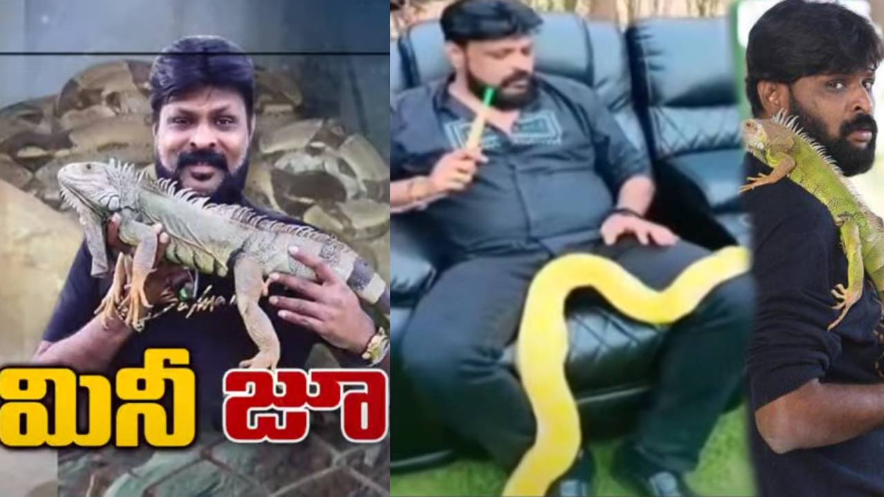 Chikoti Praveen : జూపార్క్లా ఉన్న చికోటి ఫాంహౌస్..షాక్ అయిన ఫారెస్ట్ అధికారులు Chikoti Praveen : జూపార్క్లా ఉన్న చికోటి ఫాంహౌస్..షాక్ అయిన ఫారెస్ట్ అధికారులు