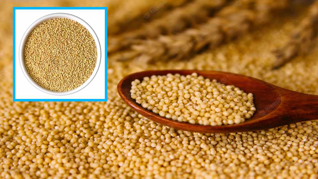 Foxtail Millet : ఏకాగ్రత, జ్ఞాపకశక్తి పెరగాలంటే కొర్ర బియ్యంతో! Foxtail Millet : ఏకాగ్రత, జ్ఞాపకశక్తి పెరగాలంటే కొర్ర బియ్యంతో!