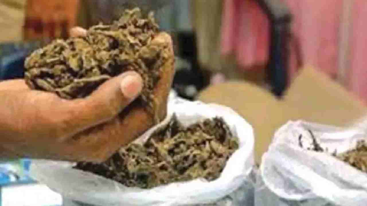 Ganja Seized : భద్రాచలంలో భారీగా గంజాయి పట్టివేత Ganja Seized : భద్రాచలంలో భారీగా గంజాయి పట్టివేత