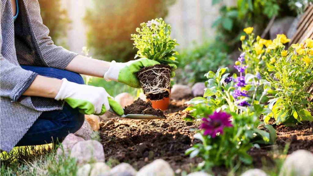 Gardening