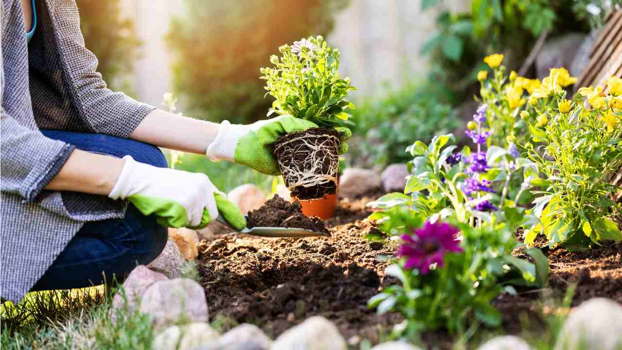 Gardening: తోటపని చేస్తే మానసిక ఆరోగ్యం Gardening: తోటపని చేస్తే మానసిక ఆరోగ్యం