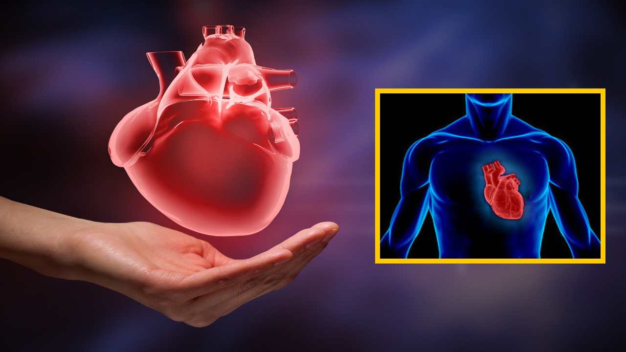 Heart Disease : గుండె జబ్బులు దరిచేరకుండా జీవనశైలి, ఆహారంలో! Heart Disease : గుండె జబ్బులు దరిచేరకుండా జీవనశైలి, ఆహారంలో!