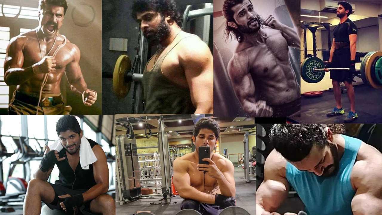 Star Hero’s : సినిమాల కోసం జిమ్లో కష్టాలు పడుతున్న స్టార్ హీరోలు Star Hero’s : సినిమాల కోసం జిమ్లో కష్టాలు పడుతున్న స్టార్ హీరోలు