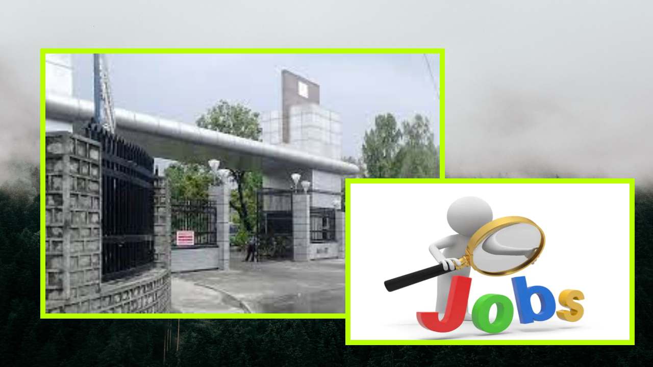 Job Vacancies : సీఎస్ఐఆర్ ఐఐసీటీలో ఉద్యోగ ఖాళీల భర్తీ Job Vacancies : సీఎస్ఐఆర్ ఐఐసీటీలో ఉద్యోగ ఖాళీల భర్తీ