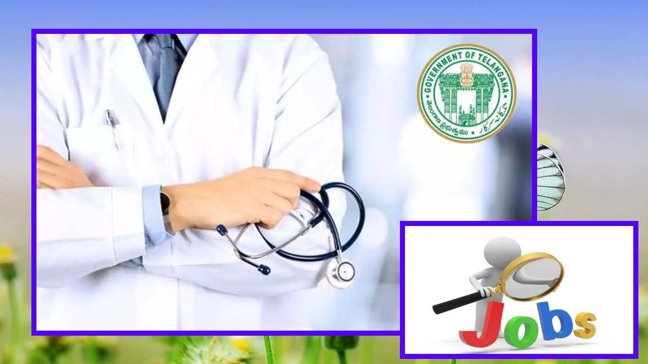 Job Vacancies : తెలంగాణా మెడికల్ హెల్త్ సర్వీసెస్ లో ఉద్యోగ ఖాళీల భర్తీ Job Vacancies : తెలంగాణా మెడికల్ హెల్త్ సర్వీసెస్ లో ఉద్యోగ ఖాళీల భర్తీ