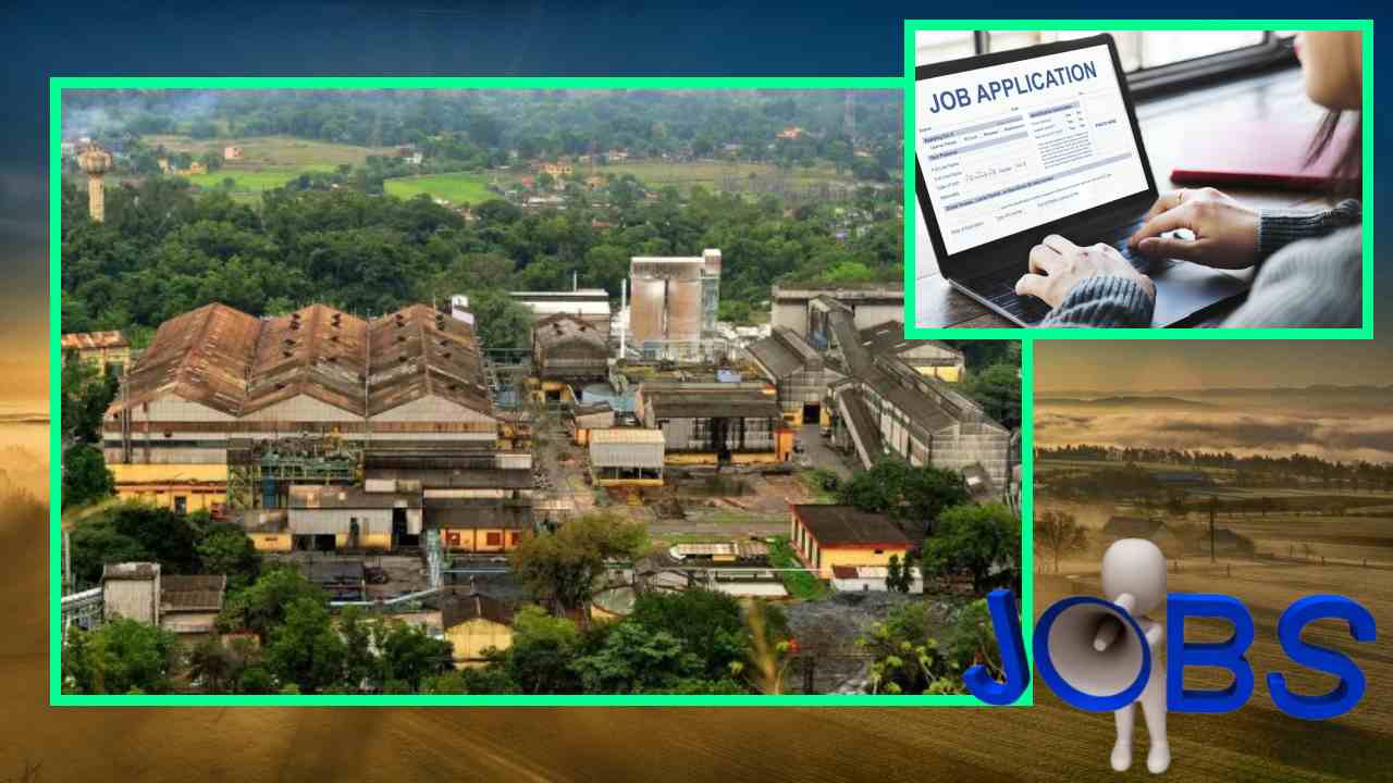 JOBS : యూసీఐఎల్ లో ఉద్యోగాల భర్తీ JOBS : యూసీఐఎల్ లో ఉద్యోగాల భర్తీ