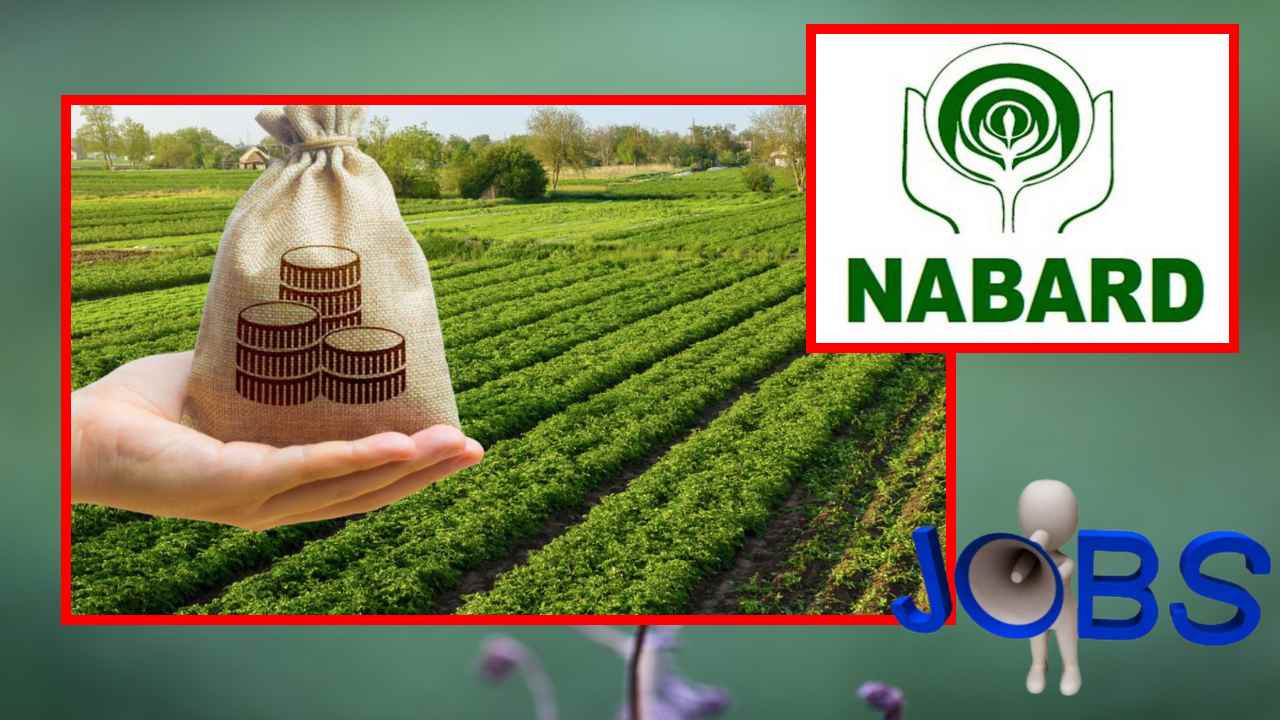 NABARD : నాబార్డ్ లో ఉద్యోగాల భర్తీ NABARD : నాబార్డ్ లో ఉద్యోగాల భర్తీ
