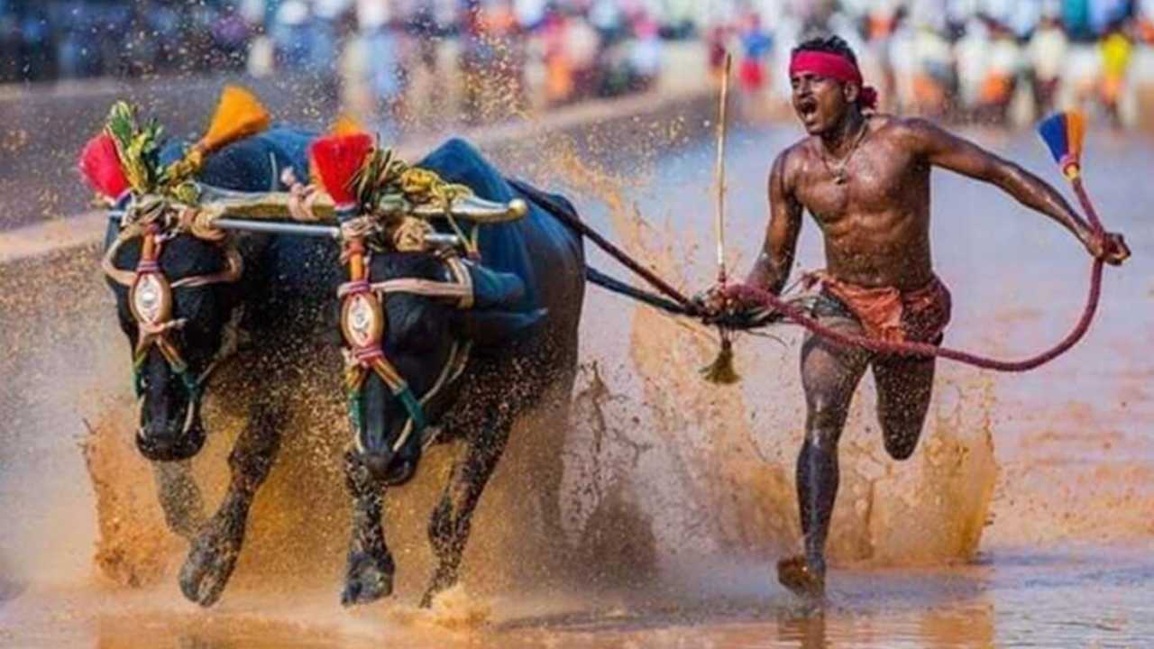 kambala: రికార్డుల పేరిట ‘కంబళ వీరుడి’ మోసం.. శ్రీనివాస గౌడపై కేసు నమోదు kambala: రికార్డుల పేరిట ‘కంబళ వీరుడి’ మోసం.. శ్రీనివాస గౌడపై కేసు నమోదు