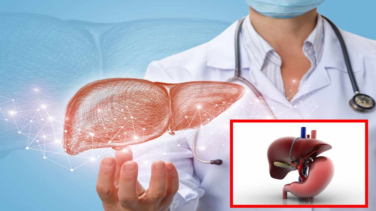 Liver Cancer : ప్రాణాలు తీస్తున్న కాలేయ క్యాన్సర్ Liver Cancer : ప్రాణాలు తీస్తున్న కాలేయ క్యాన్సర్