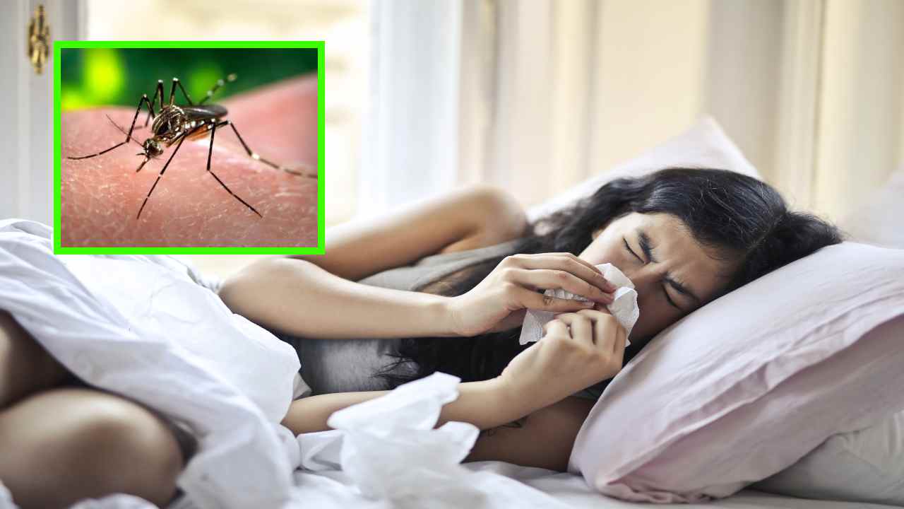 Monsoon Fever : వర్షకాలంలో వచ్చే జ్వరాలతో జాగ్రత్త! Monsoon Fever : వర్షకాలంలో వచ్చే జ్వరాలతో జాగ్రత్త!